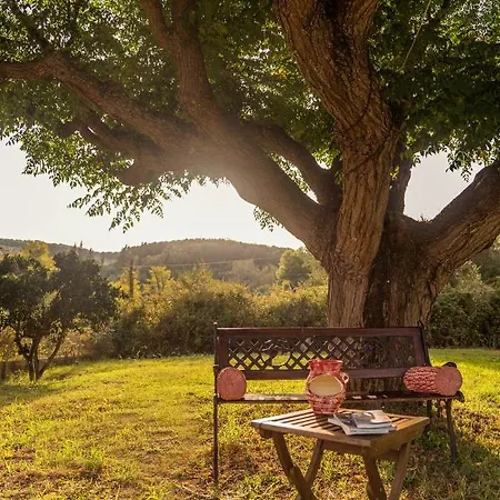 Corfu ゲストハウス